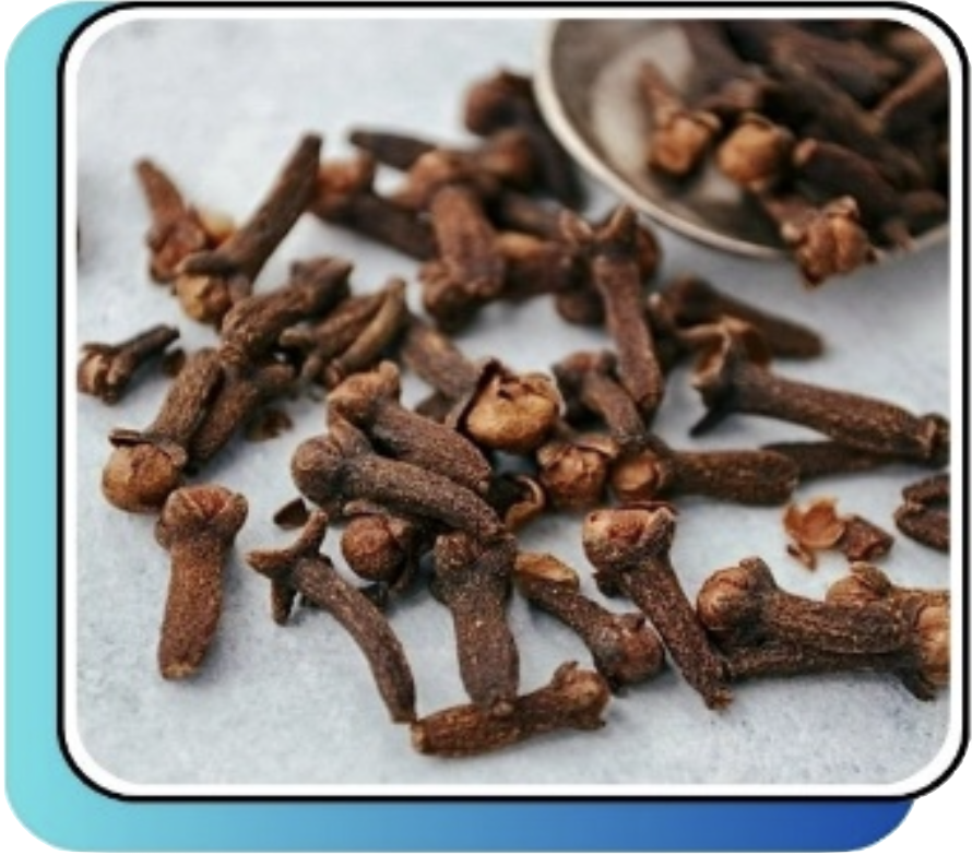 Screenshot 2024-10-13 at 23.03.07