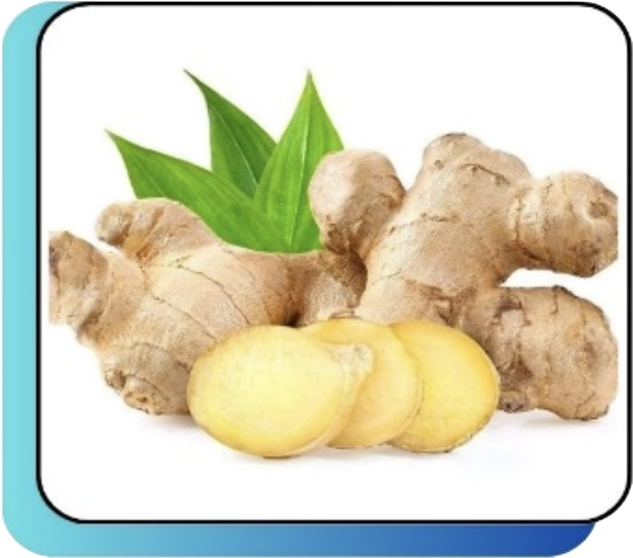 Screenshot 2024-10-13 at 23.03.26