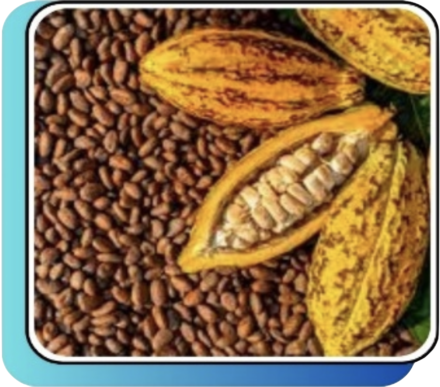 Screenshot 2024-10-13 at 23.04.05