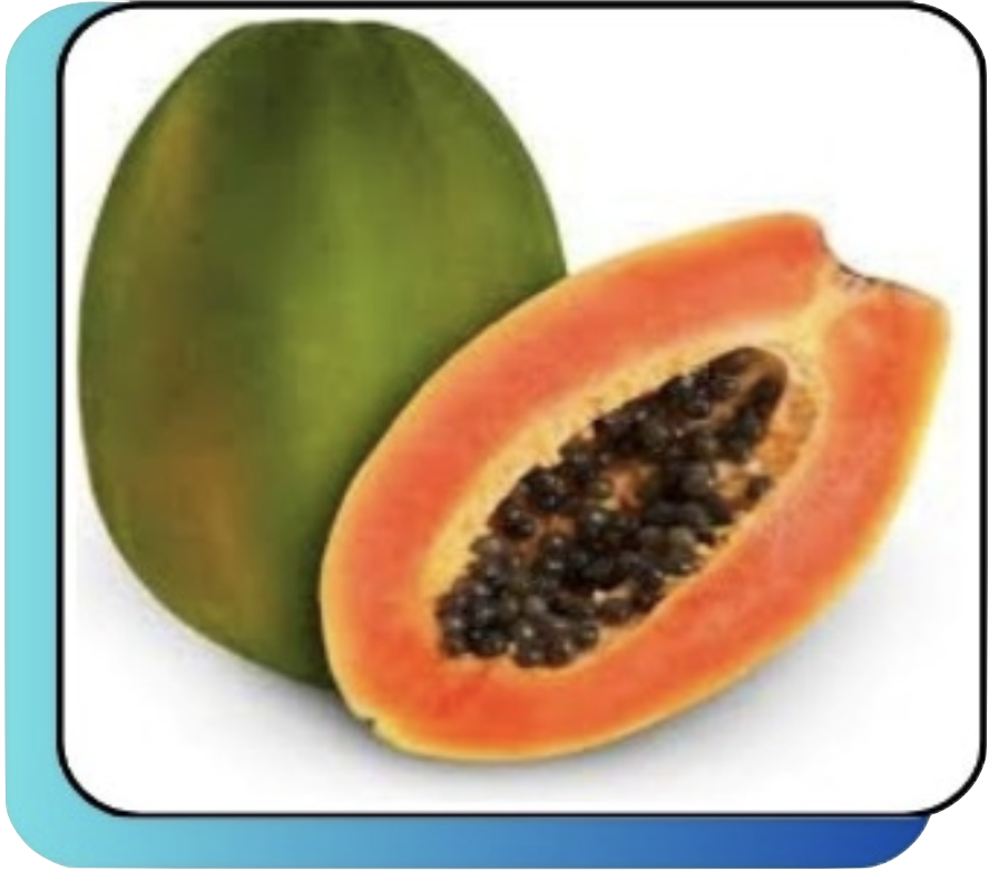 Screenshot 2024-10-13 at 23.04.18