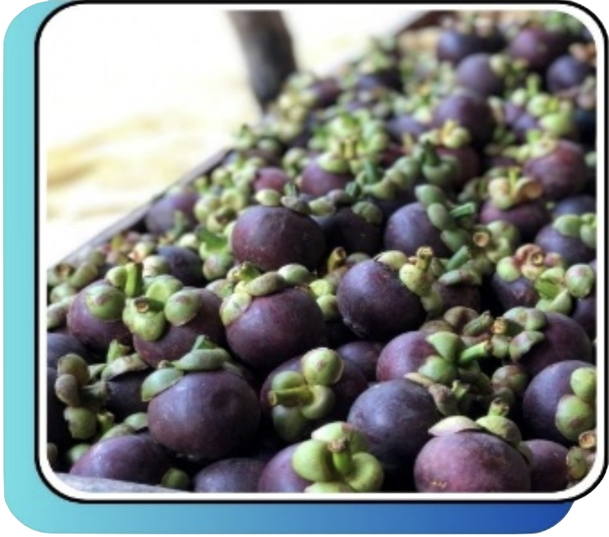 Screenshot 2024-10-13 at 23.04.31